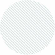 Circle Shape